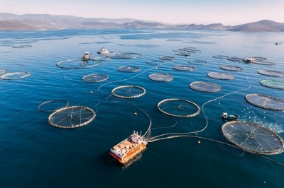 Aquaculture has overtaken wild caught fishing for the first time. Image Source: Getty Images/Dudits