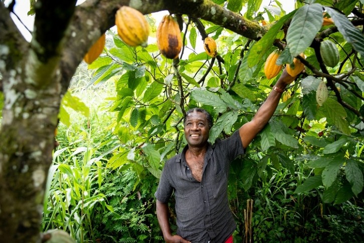 cocoa farmer Media Lens King