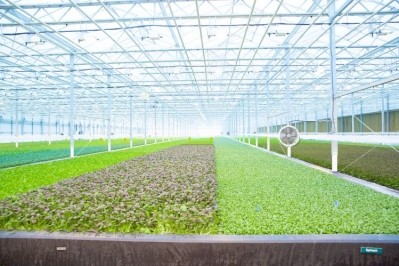 Little Leaf Farms Leans into the Curve - 360PR+