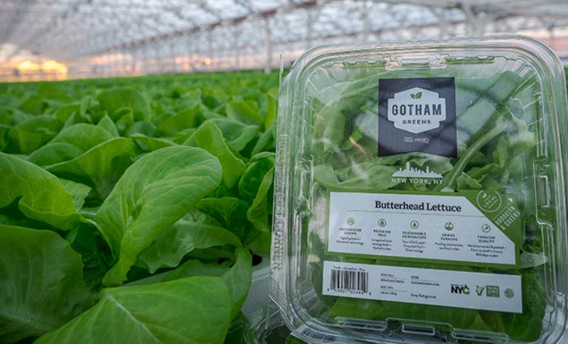 https://www.foodnavigator-usa.com/var/wrbm_gb_food_pharma/storage/images/publications/food-beverage-nutrition/foodnavigator-usa.com/article/2018/06/22/hydroponics-gotham-greens-attracts-new-investor-in-29m-funding-round-to-bring-local-produce-nationwide/8324596-1-eng-GB/Hydroponics-Gotham-Greens-attracts-new-investor-in-29m-funding-round-to-bring-local-produce-nationwide.jpg