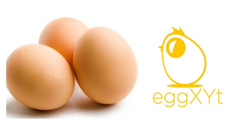eggXYt strategy: Israeli startup launches bid to disrupt the egg