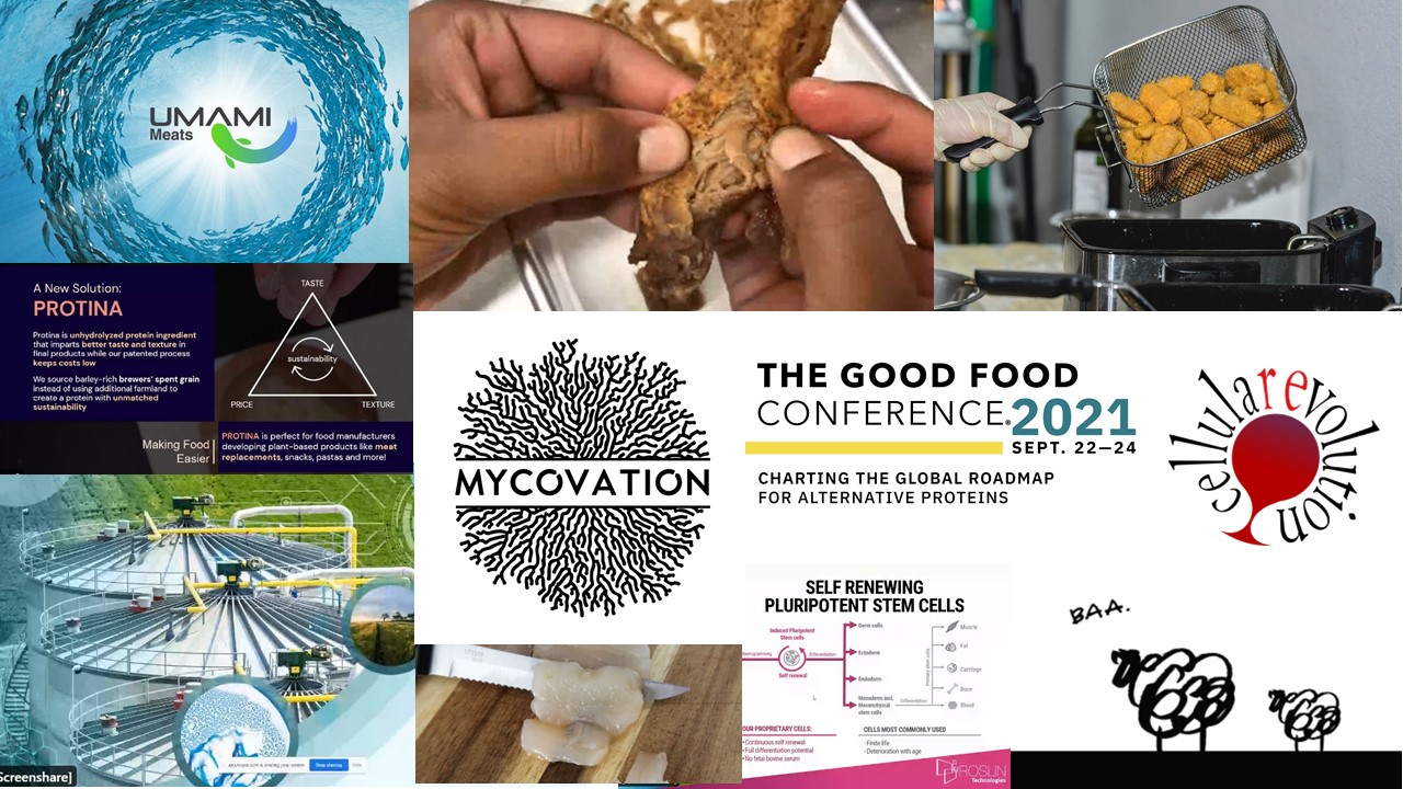 GALLERY Alternative protein startups to watch at the GFI's Good Food